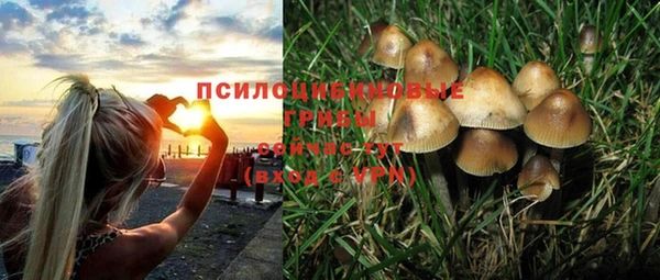крисы Нягань