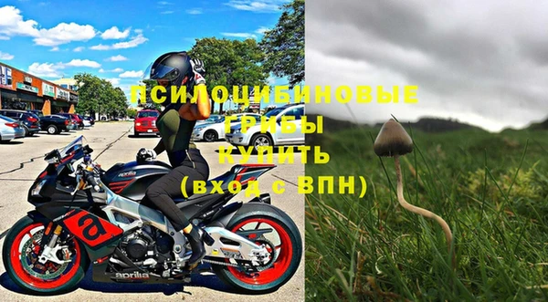 гидра Нязепетровск