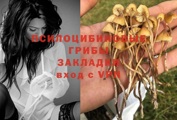 крисы Нягань