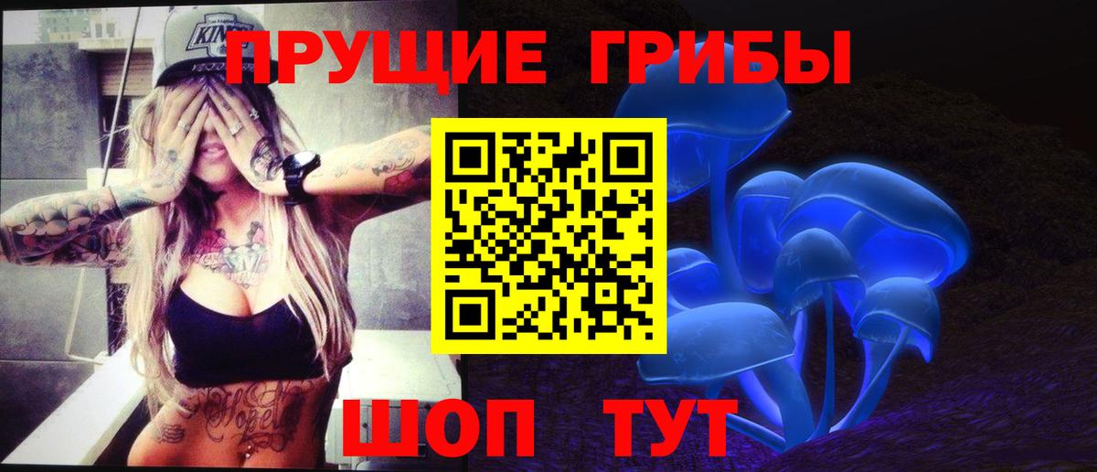Псилоцибиновые грибы MAGIC MUSHROOMS  Вход с VPN  Ялуторовск 